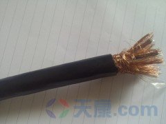 28圈氟塑料计算机电缆图