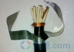 28圈铠装屏蔽计算机电缆图
