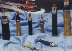 28圈聚氯乙烯绝缘船用电力电缆图